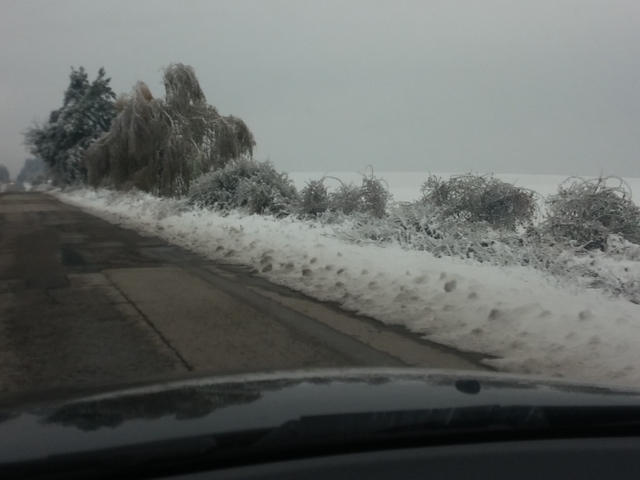 Поледица по пътя Разград-Търговище
