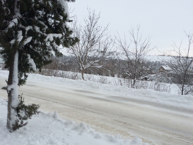 Трагедията продължава в Мизия