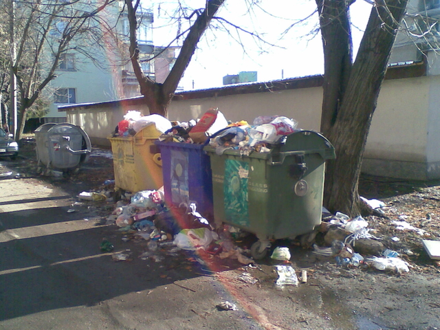 Свинщина в центъра на Разград