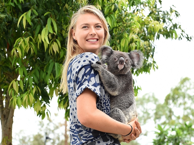 Преди броени дни Мария Шарапова се снима с австралийска коала. Снимка: ЕПА/БГНЕС