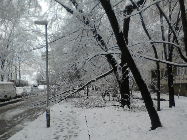 Зимата се завърна