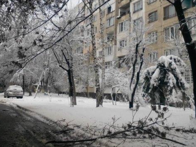 Опасни клони