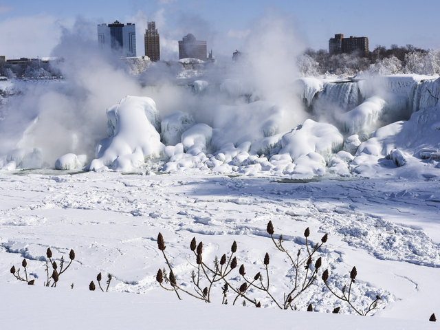 Снимки: Getty Images