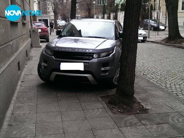 Как паркира Надежда Нейнски?