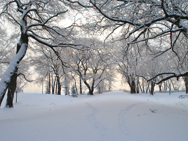 Снимка: Shutterstock