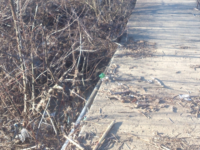 Непочистени речни корита