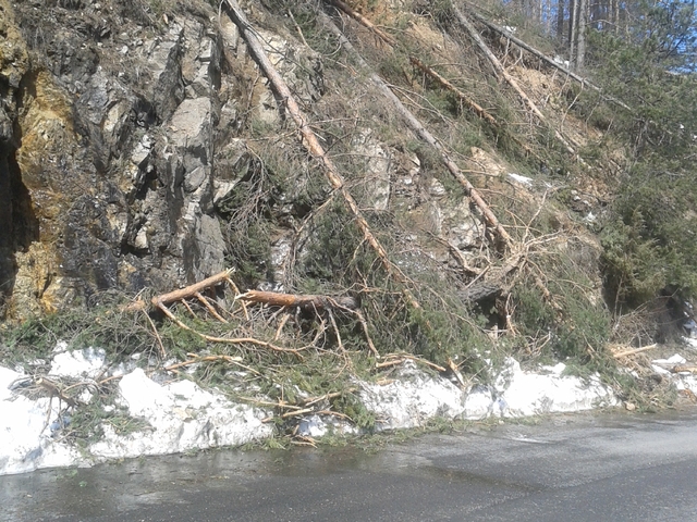 Мадан след стопилия се сняг