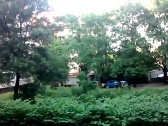 Ромски тормоз в близост до центъра на София