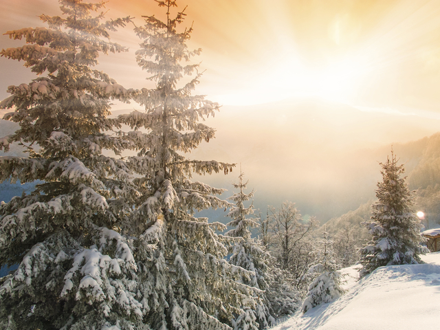 Снимка: Thinkstock