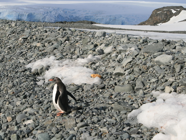 Снимка: Thinkstock