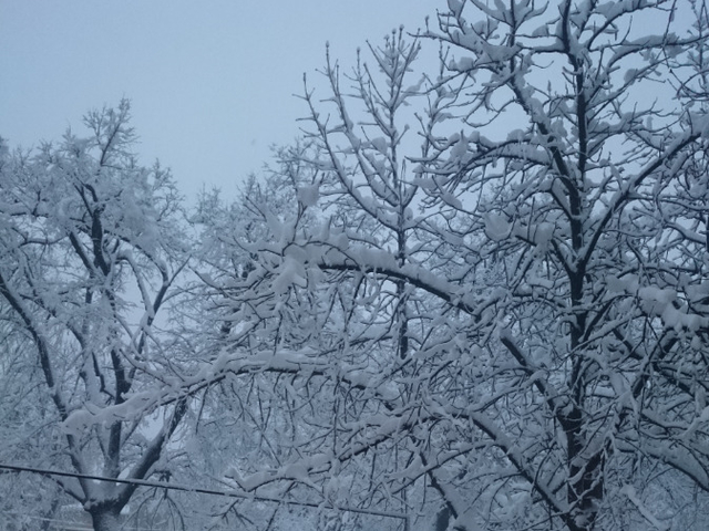 Снежна сутрин