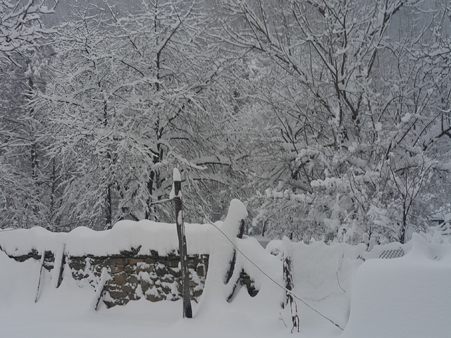 Снежна Трявна