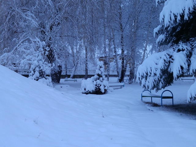 Снежна приказка в Пирдоп