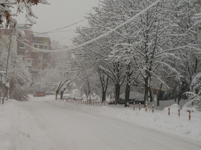 Зимен Шумен