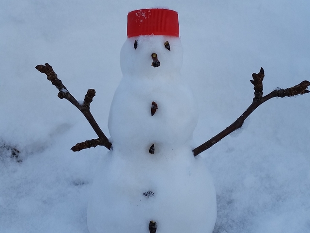 Зимна красота