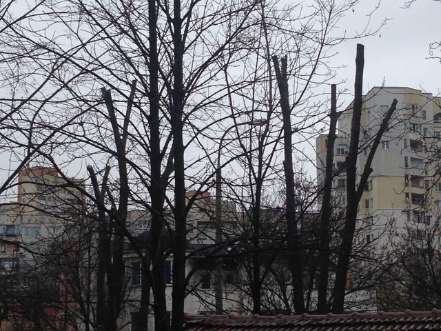 Грозна гледка