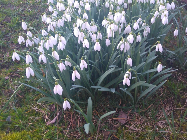 Пролет в Априлци