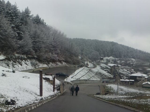 Снежно утро