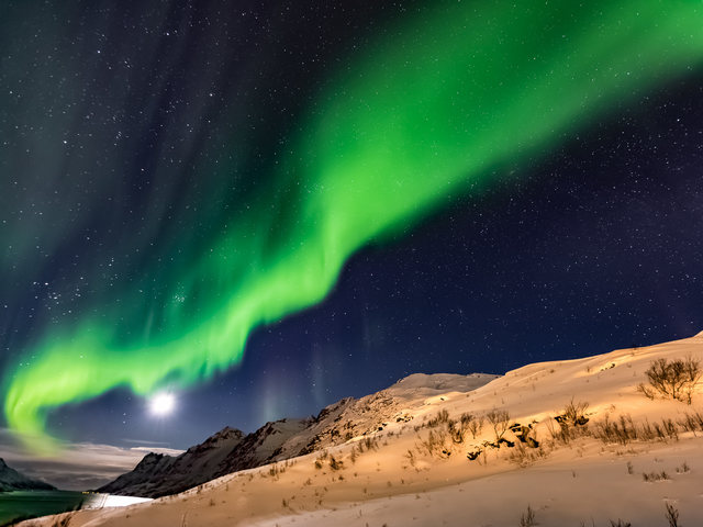 Снимки: Дамян Хаджииванов