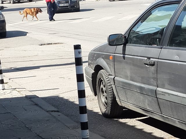 Паркиране в "Орландовци"