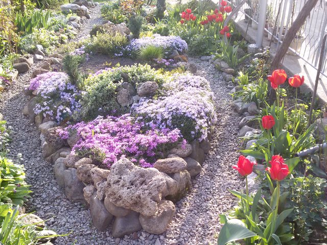 Красива пролет в Габрово