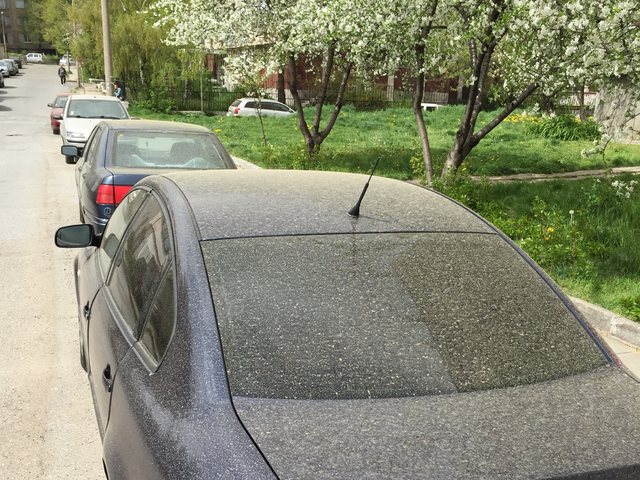 Пролетен дъжд в Кюстендил.. от Сахара!