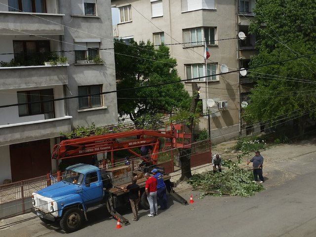 Опазване на околната среда