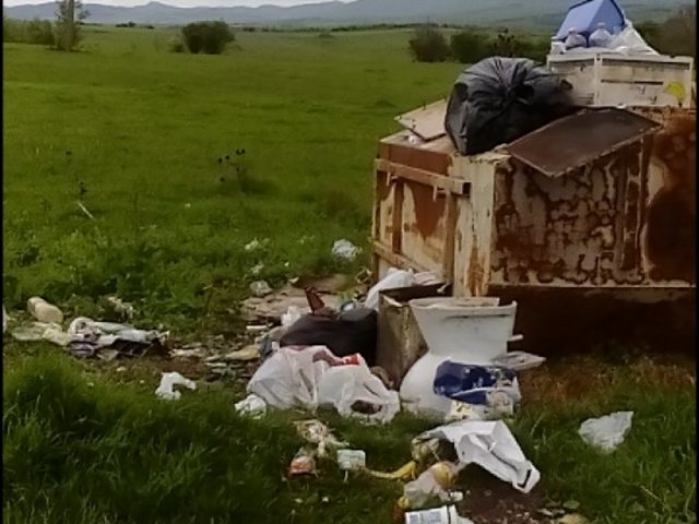 Единствен и препълнен контейнер