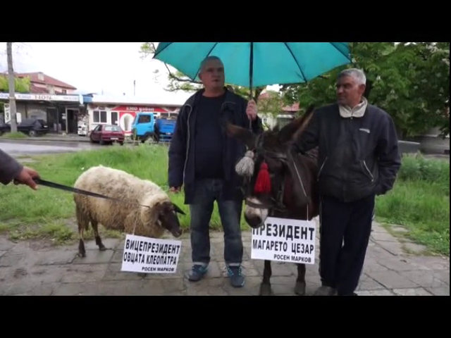 Магарето Цезар и овцата Клеопатра - за президент и вицепрезидент