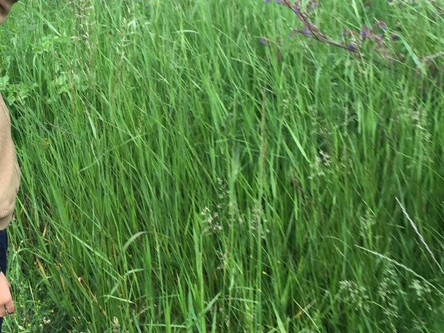 Безобразие