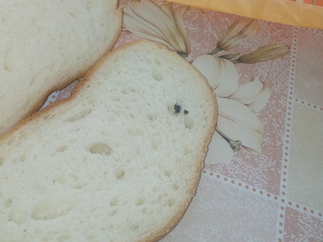 Храна с мухи