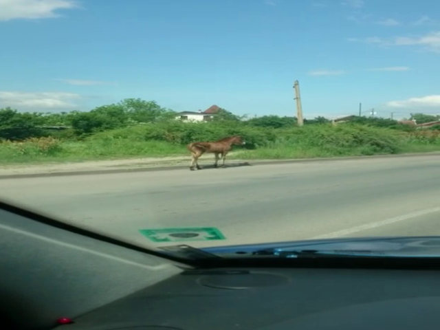 Добре дошли в България