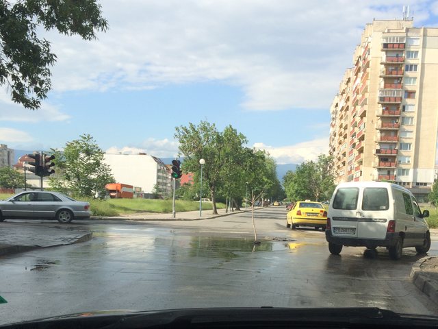 Дръвче в дупка в Пловдив