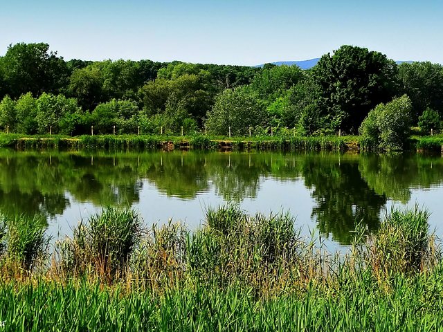 Снимки: "Моята новина"