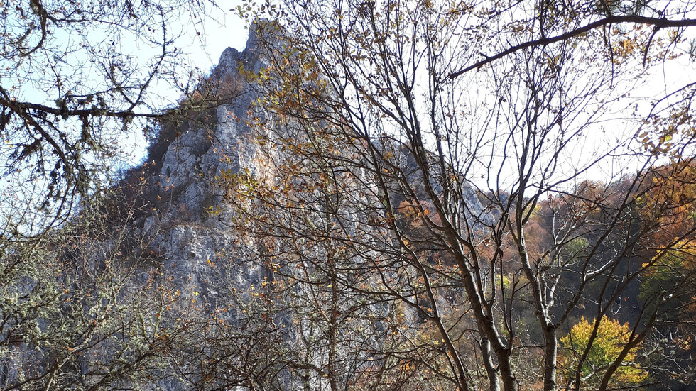 Параклис "Света Петка"