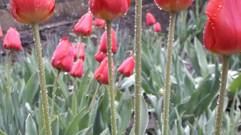 Дъждовно, но красиво!