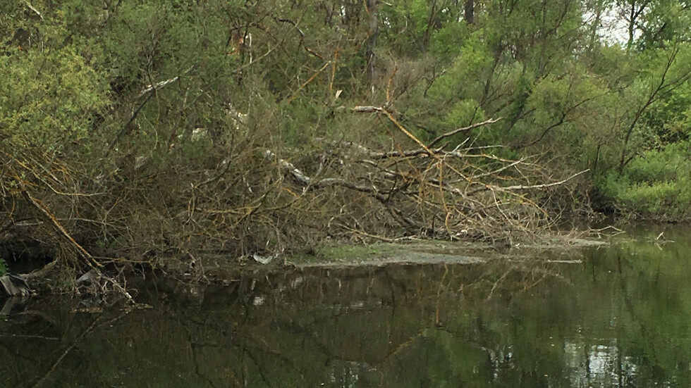 Река Тунджа в безобразно състояние