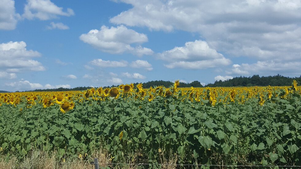 Красивата ни природа