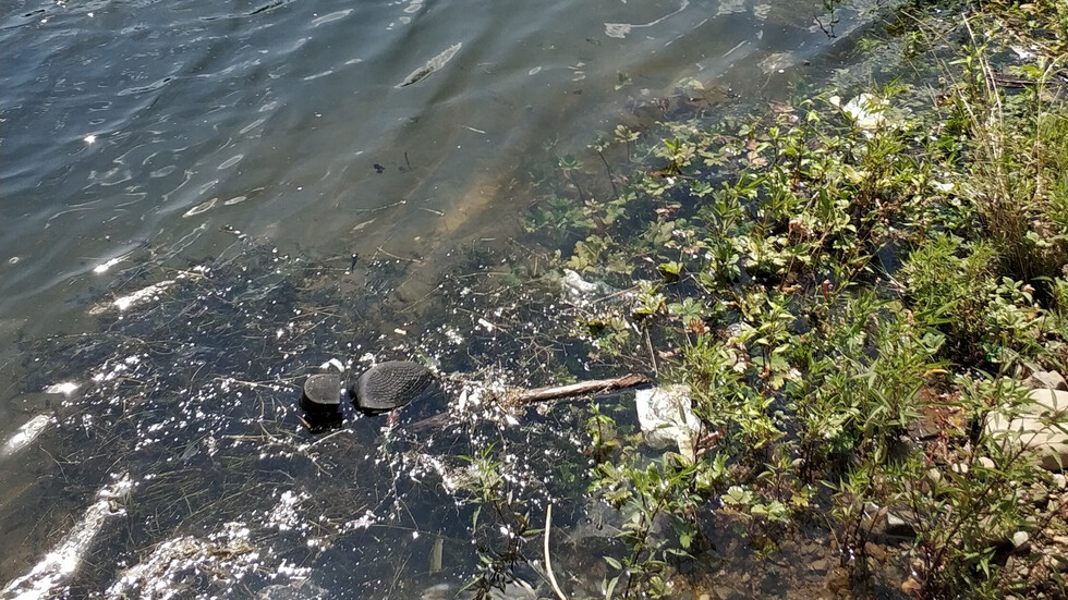 Замърсяване на Панчаревското езеро