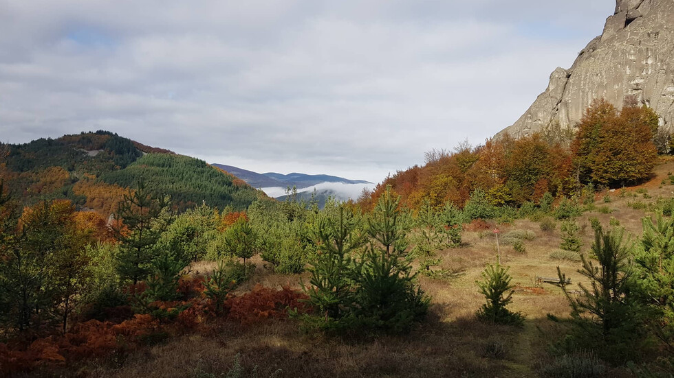 Красиви гледки от есенни Родопи
