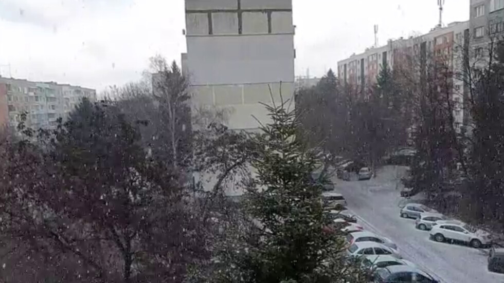 Сняг