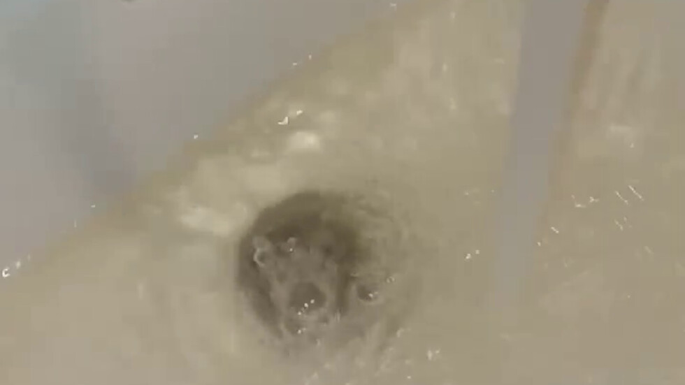 Какво има във водата ни?