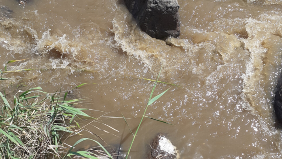 Боклуци и фекална вода на плаж в Поморие