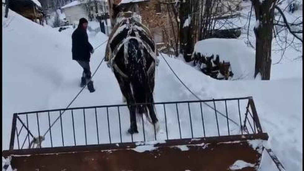 Тежки зимни условия в ловешкото село Бабинци