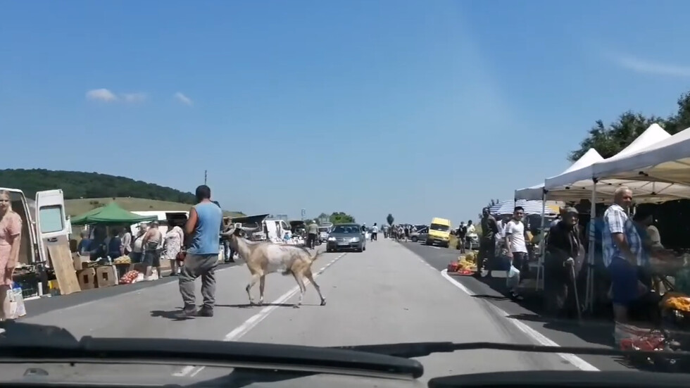 Тържище на платното на главен път