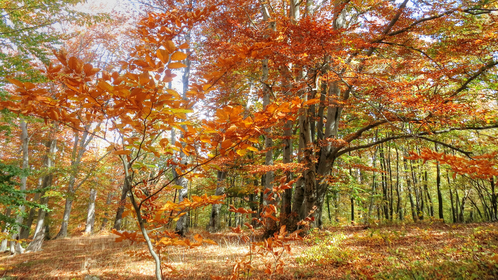 Красива есен в Котленския балкан!