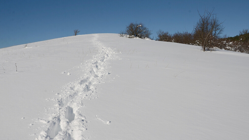 Снегът в Трънско на места е 50 см.