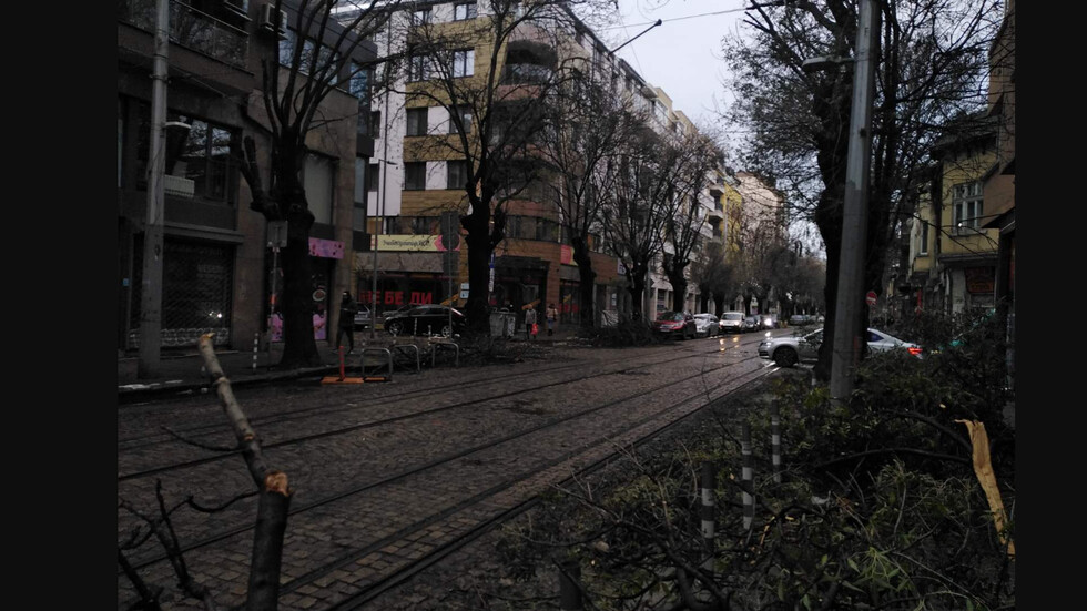 Паднали дървета в София