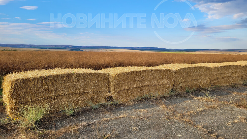 С протест пазят летището в село Екзарх Антимово