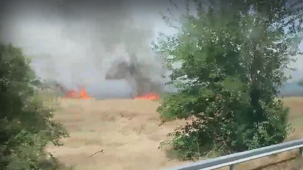Пожарът във Варна до Аксаково (ВИДЕО)